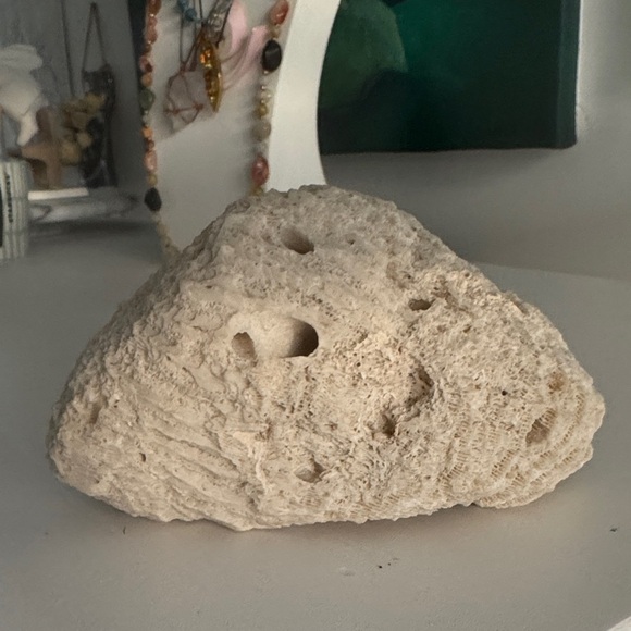 Natural Cream Coral Sculpture - Picture 3 of 6